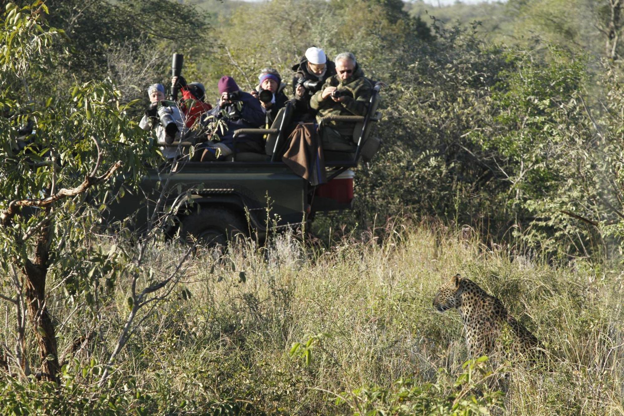 הוילה שמורת הציד טימבאבאטי Umlani Bushcamp מראה חיצוני תמונה