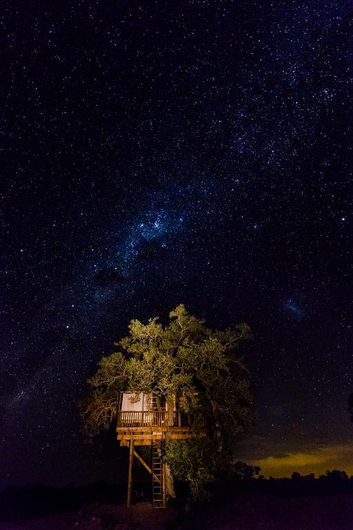 הוילה שמורת הציד טימבאבאטי Umlani Bushcamp מראה חיצוני תמונה