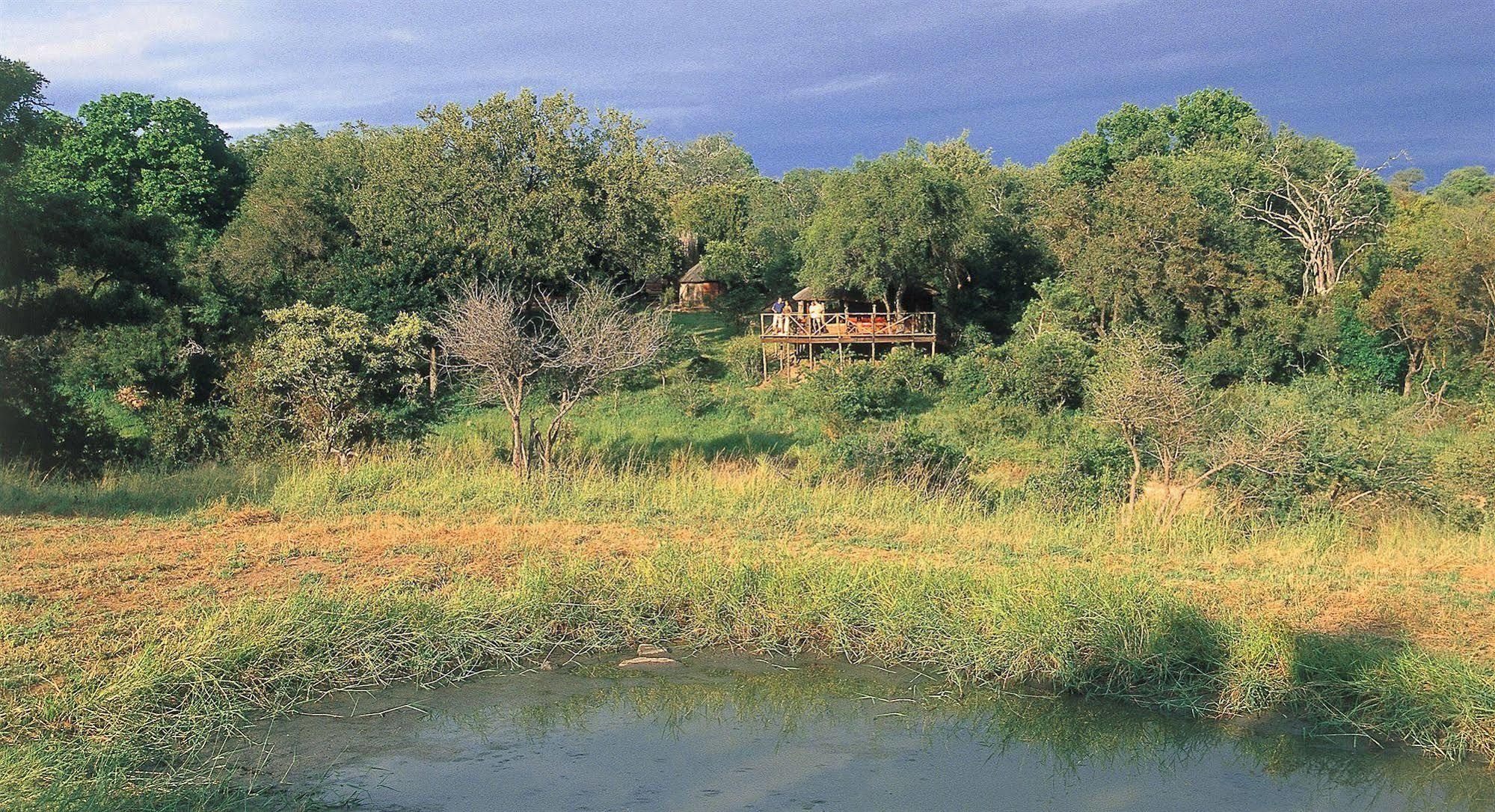 הוילה שמורת הציד טימבאבאטי Umlani Bushcamp מראה חיצוני תמונה